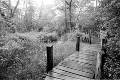 Marais de lavours 02.jpg