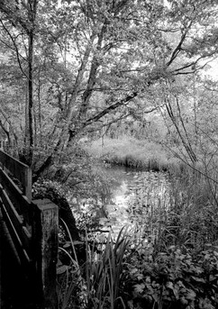 Marais de lavours 05.jpg