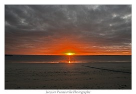 DSC_5310+_w.jpg