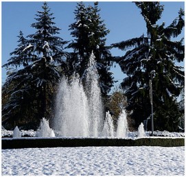 Morestel sous la neige le 15 novembre 2019 N°PP02_w.jpg