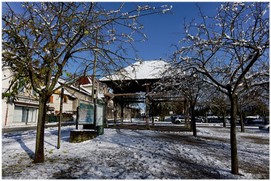 Morestel sous la neige le 15 novembre 2019 N°PP08_w.jpg