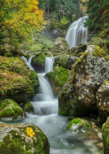 02-064 - cascade_chartreuse - Dominique BAPTISTE.jpg